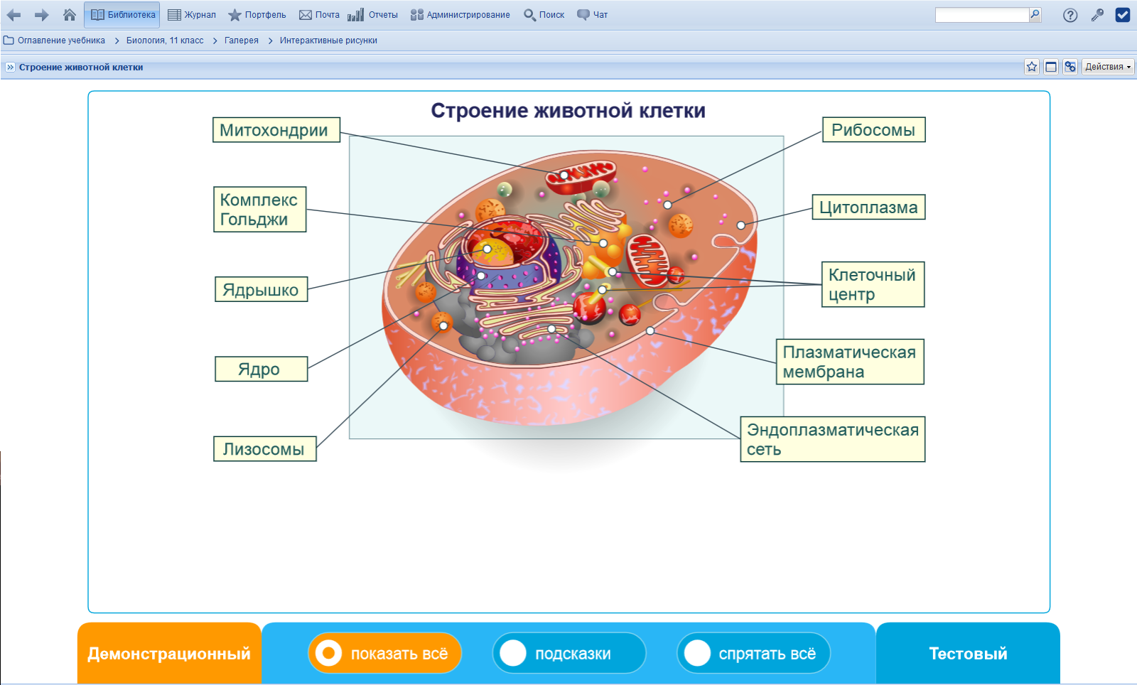 Интерактивный рисунок «Строение животной клетки»
